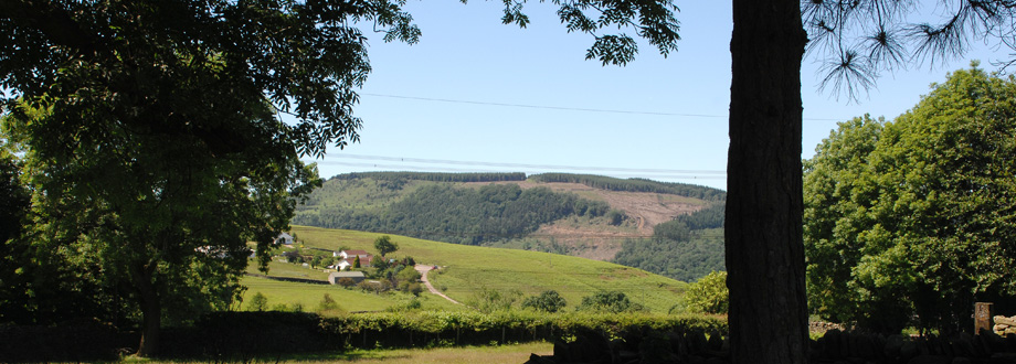 Slideshow Image 3